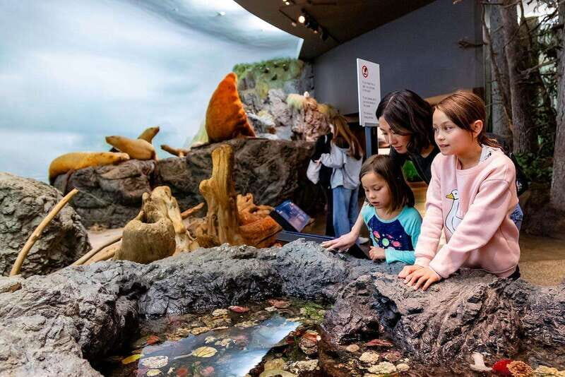 Royal B.C. Museum in Victoria: Full-Day Admission Ticket - A Closer Look at the Museum Experience