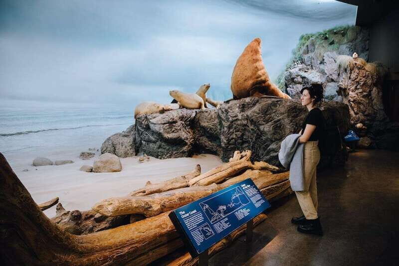 Royal B.C. Museum in Victoria: Full-Day Admission Ticket - Price and Value Analysis