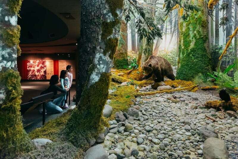 Royal B.C. Museum in Victoria: Full-Day Admission Ticket - Who Should Visit?