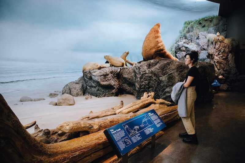 Royal B.C. Museum in Victoria: Full-Day Admission Ticket - The Sum Up
