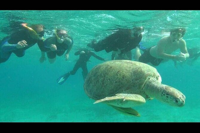 Royal Dolphin House Sea Trip Hurghada - Getting Acquainted with the Hurghada Dolphin Trip