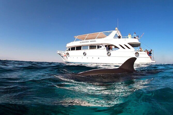 Royal Dolphin House Sea Trip Hurghada - The Experience of the Day