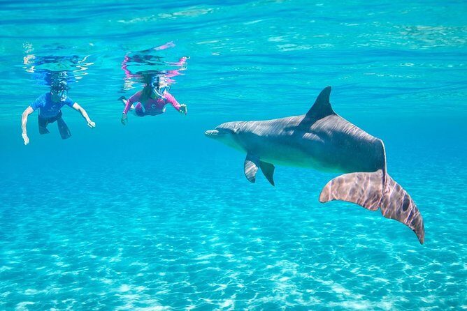 ROYAL Dolphin House & Water Sports Snorkeling Sea Trip - Hurghada - Key Points
