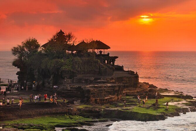 Royal Family Temple, Monkey Forest, and Tanah Lot Sunset Tour - A Deep Dive into the Itinerary