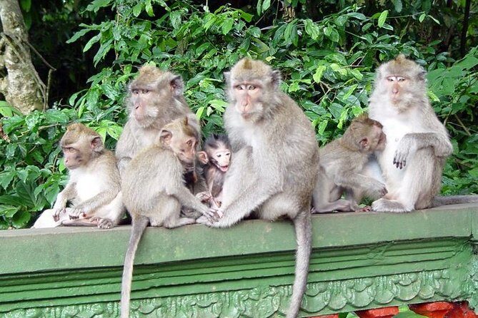 Royal Family Temple, Monkey Forest, and Tanah Lot Sunset Tour - Frequently Asked Questions