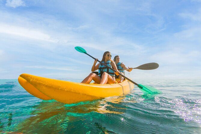 Royal Garragon with Dolphin Encounter in Isla Mujeres - Key Points