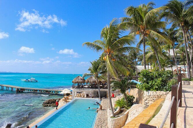 Royal Garragon with Dolphin Encounter in Isla Mujeres - The Experience: What You Can Expect