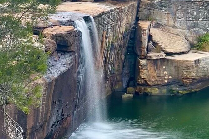 Royal National Park Hike, Swim and Wildlife Tour - Key Points