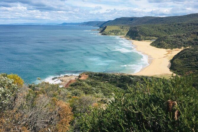 Royal National Park Hike, Swim and Wildlife Tour - An In-Depth Look at the Royal National Park Hike, Swim, and Wildlife Tour