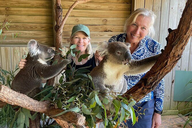 Royal National Park Hike, Swim and Wildlife Tour - Who Will Love This Tour?
