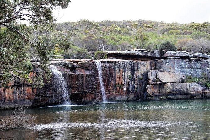 Royal National Park Private Tour - What Does All This Cost? Is It Worth It?