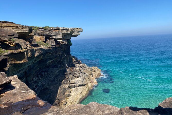 Royal National Park Wilderness Half-Day from Sydney with Picnic - A Closer Look at the Royal National Park Wilderness Half-Day Tour