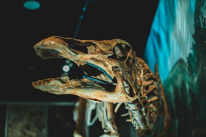 Royal Ontario Museum Toronto Tour with Skip-the-Line Tickets - FAQ