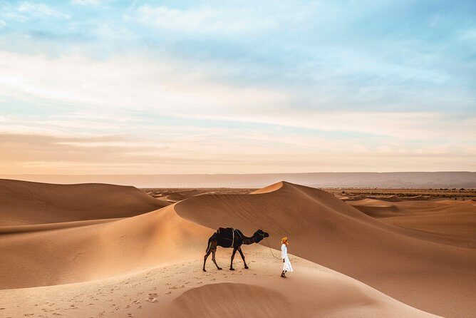 Royal Private Desert Safari - Exclusive SUV - Logistics and Comfort