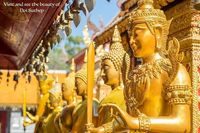 Royal Residence & Wat Phrathat Doi Suthep Half Day Tour From Chiang Mai - Practical Details and Tips