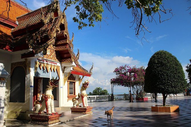 Royal Residence & Wat Phrathat Doi Suthep Half Day Tour From Chiang Mai - The Sum Up: Is This Tour Right for You?