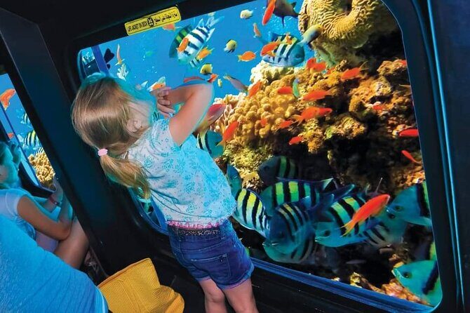 Royal Sea Scope Semi Submarine - Marsa Alam - What the Tour Offers and Why It Matters