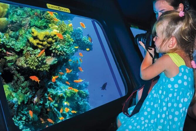 Royal Sea Scope Semi Submarine - Marsa Alam - The Itinerary: What to Expect