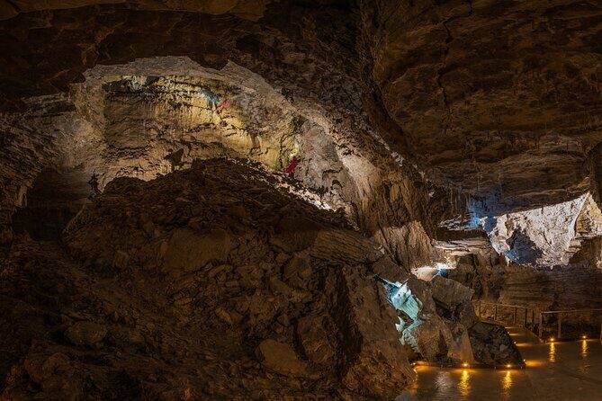 Ruakuri Cave and Hamilton Gardens Private Day Tour from Auckland - An In-Depth Look at the Tour