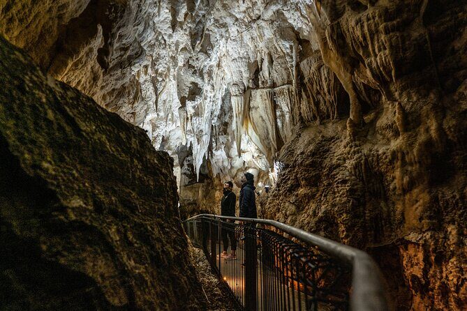 Ruakuri Cave and Hamilton Gardens Private Day Tour from Auckland - Who Is This Tour Best For?