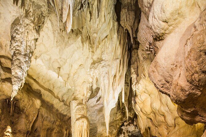 Ruakuri Cave and Hamilton Gardens Private Day Tour from Auckland - Final Thoughts