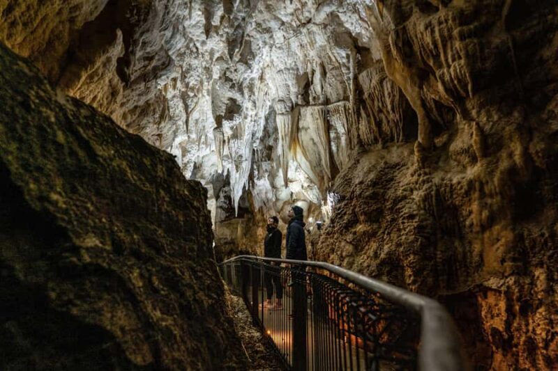 RUAKURI CAVE & HAMILTON GARDENS-PRIVATE TOUR FROM AUCKLAND - Key Points