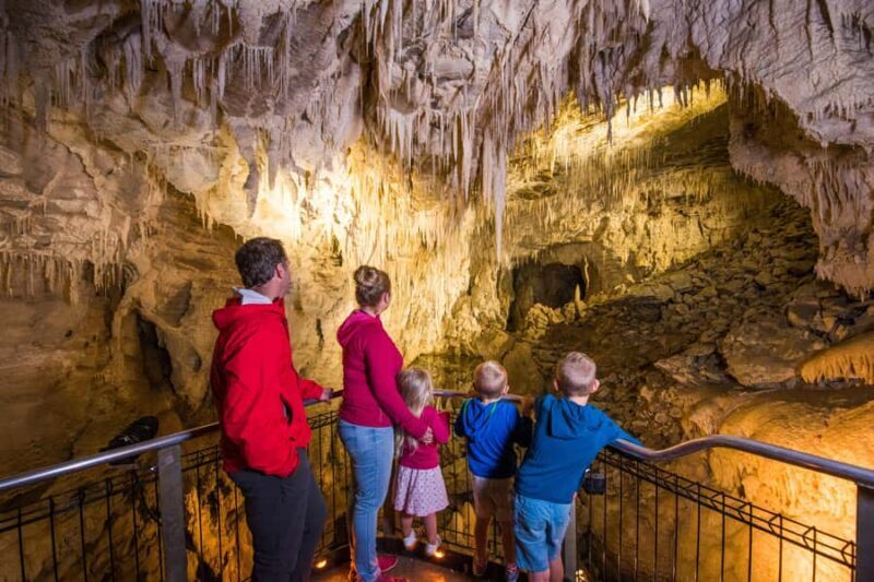 RUAKURI CAVE & HAMILTON GARDENS-PRIVATE TOUR FROM AUCKLAND - What Travelers Say