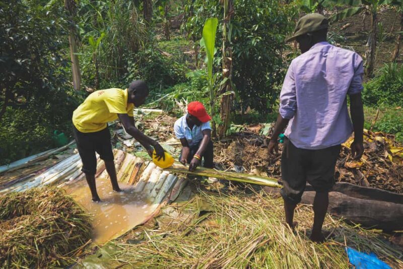 Rubalika Safari Lodge and Farm: Guided Trail Tour with Lunch - Introduction: A Day with Uganda’s Farmers and Flavors