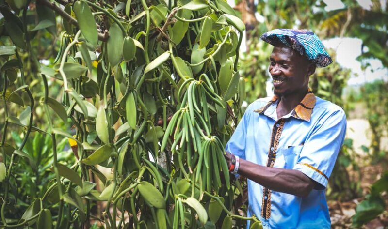 Rubalika Safari Lodge and Farm: Guided Trail Tour with Lunch - In-Depth Analysis: Is the Tour Worth the Price?