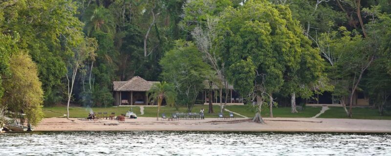 Rubondo Island 2-Day Safari with Chimpanzee Tracking - Introduction: Discovering Rubondo Island, a Hidden Gem