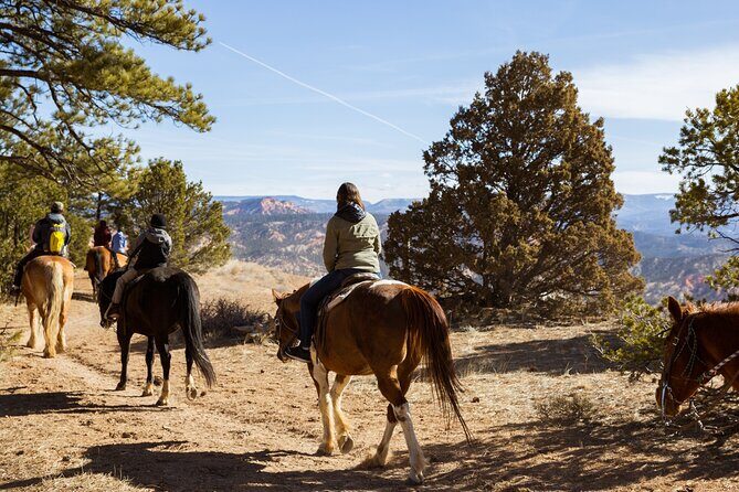 Ruby's Horseback Adventures Utah 1.5 Hour Ride - Who Should Consider This Tour?