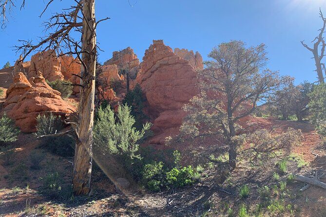 Ruby's Horseback Adventures Utah Half Day Ride - What to Expect from the Ride