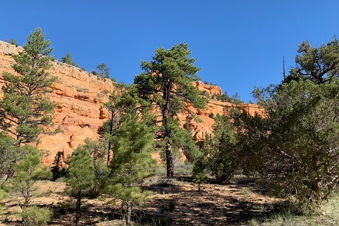 Ruby's Horseback Adventures Utah Half Day Ride - Who Should Book This Tour?