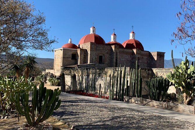 ruins ,colors and maguey private tour - Transportation and Logistics