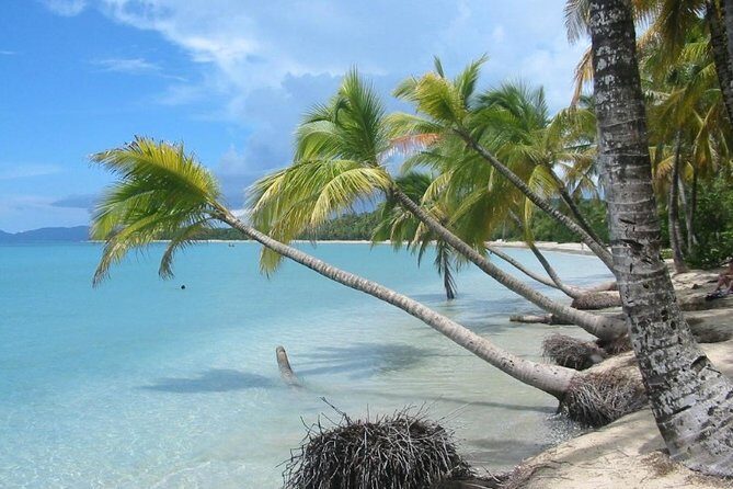 Rum and Salines paradise beach - Key Points