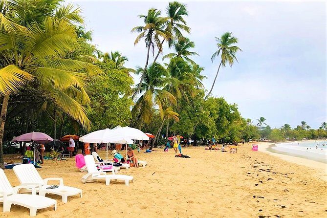 Rum and Salines paradise beach - An In-Depth Look at the Itinerary