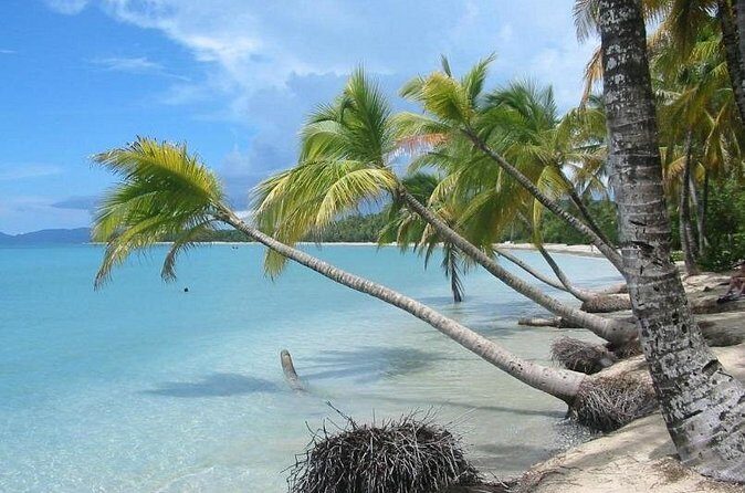 Rum and Salines paradise beach - Who Should Book This Tour?