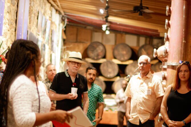 Rum Tasting Experience in the Old Barrel House - Who Is This Tour Best For?