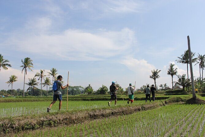 Rural Charm of Bali Tour - Pricing and Value