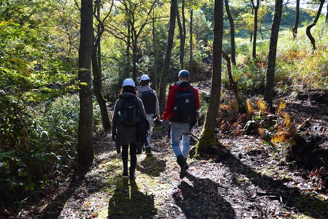 Rural Forestry Tour in Aso Minamioguni - Key Points