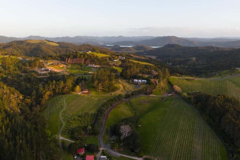 Russell: Paroa Bay Winery - Wine Tasting and Grazing - Key Points