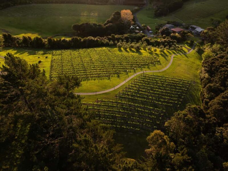 Russell: Paroa Bay Winery - Wine Tasting and Grazing - Final Thoughts: Who Should Consider This Experience?