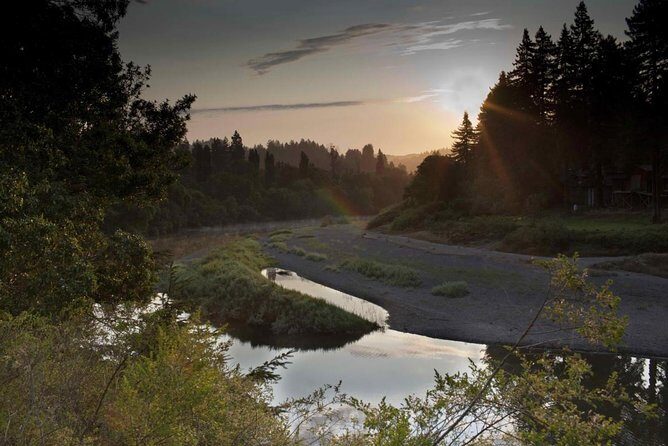Russian River Kayak Tour at the Beautiful Sonoma Coast - Key Points