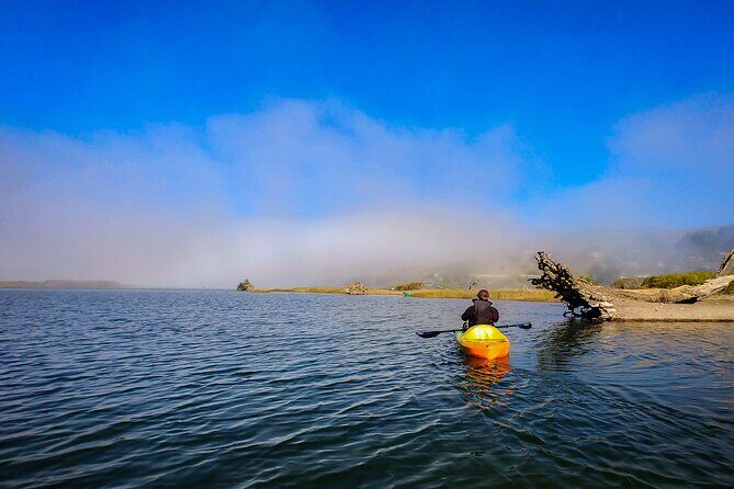 Russian River Kayak Tour at the Beautiful Sonoma Coast - An In-Depth Look at the Sonoma Coast Kayak Experience