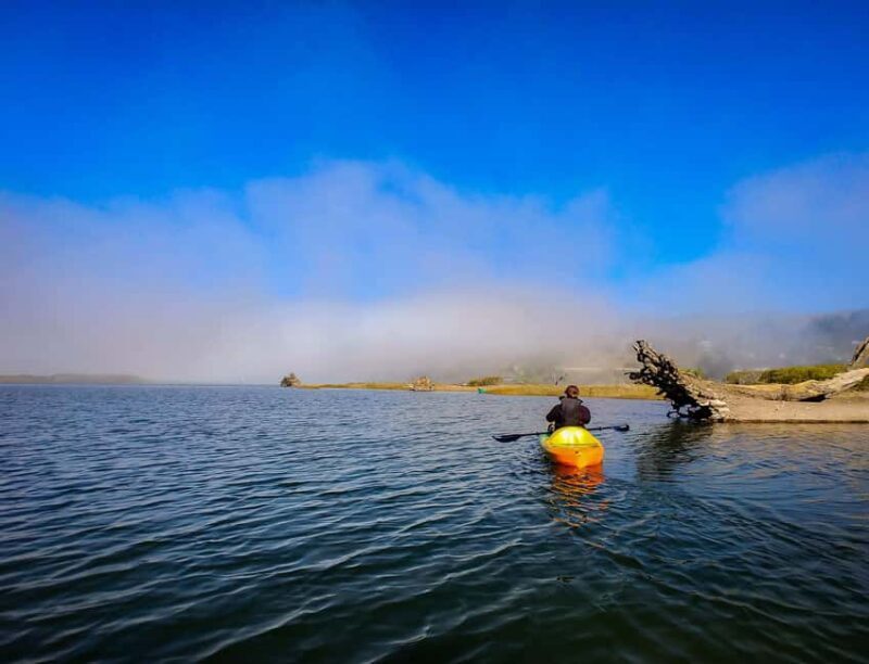 Russian River: Kayak Tour - Key Points