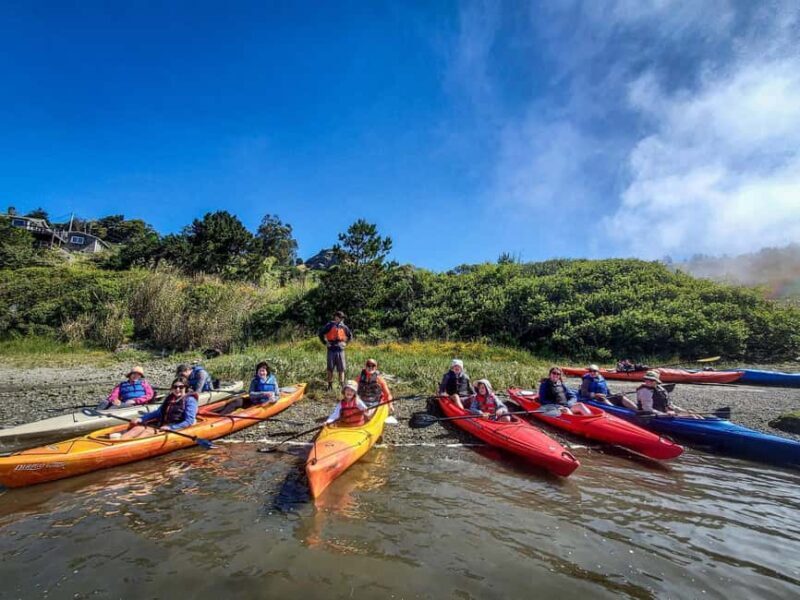 Russian River: Kayak Tour - A Closer Look at the Russian River Kayak Tour