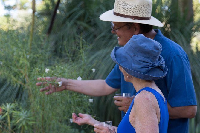 Ruth Bancroft Garden General Admission Ticket - Why Special Features Matter