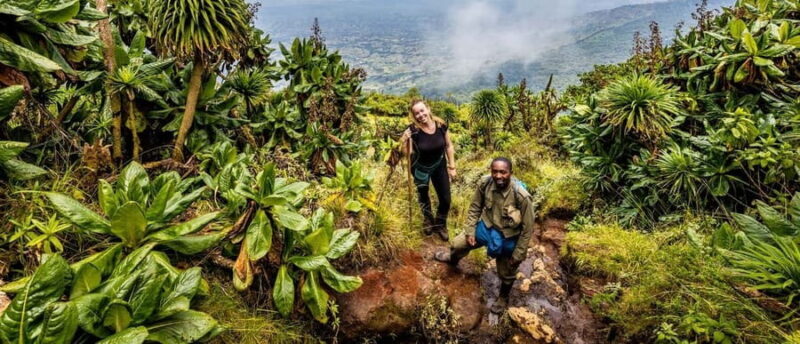 Rwanda: 1-Day Mount Gahinga Volcano Hike with Transfers - An In-Depth Look at the Mount Gahinga Hike