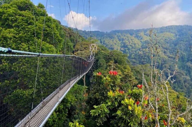 Rwanda: 3-Day Chimpanzee Trekking, Canopy, and Lake Kivu - FAQ