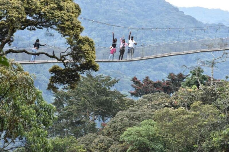 Rwanda: 3-Day Nyungwe Canopy way walk and Lake Kivu Tour. - Key Points